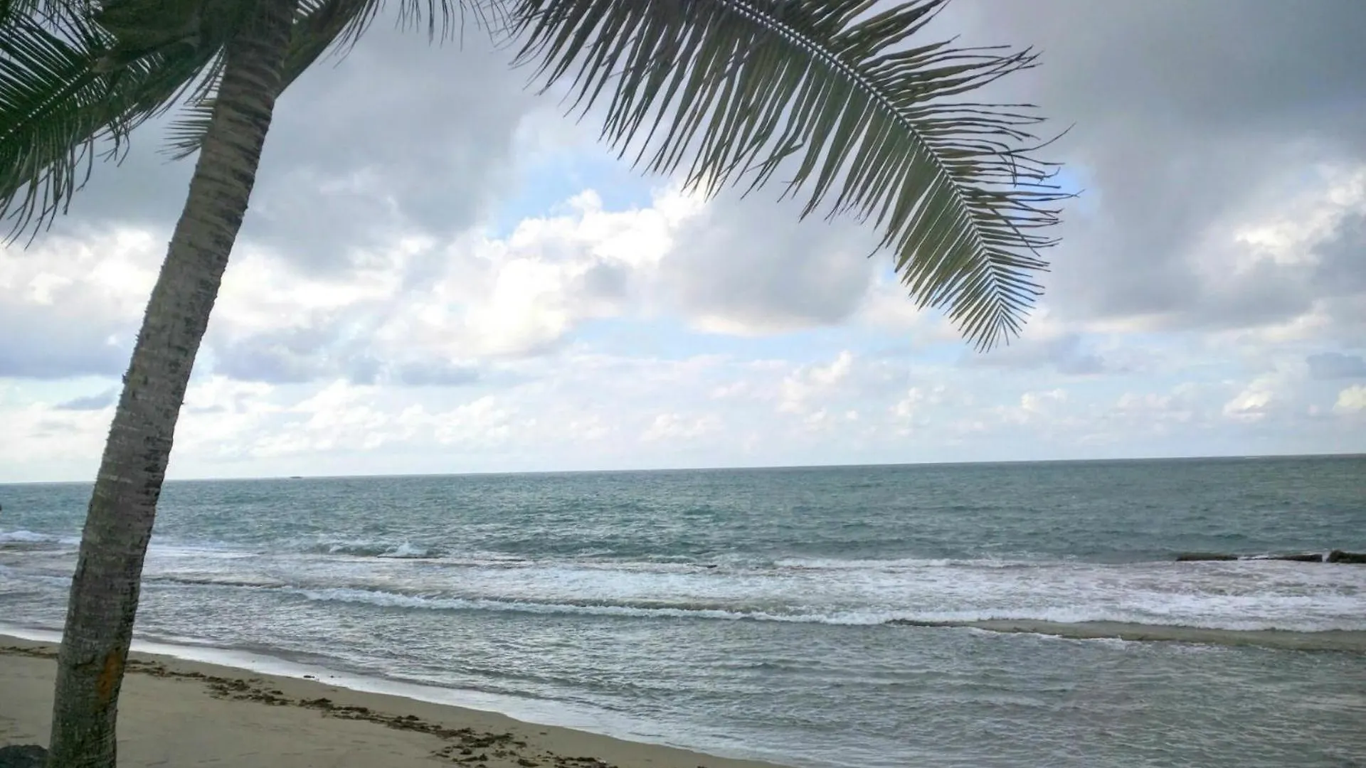 Ferienhaus Deluxe Beach Condo In Dorado